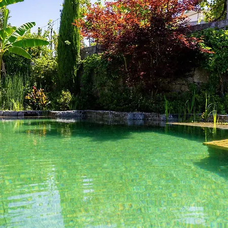 Hébergement de vacances Gondomar - Moradia V3 Com Piscina Natural By House And People Guimarães