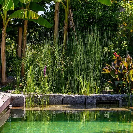 Hébergement de vacances Gondomar - Moradia V3 Com Piscina Natural By House And People