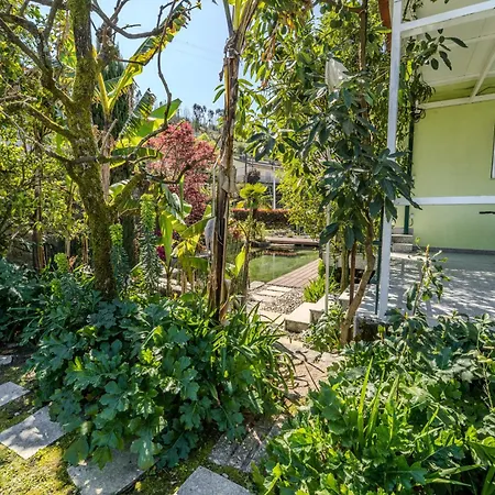 Gondomar - Moradia V3 Com Piscina Natural By House And People Tatil Evi