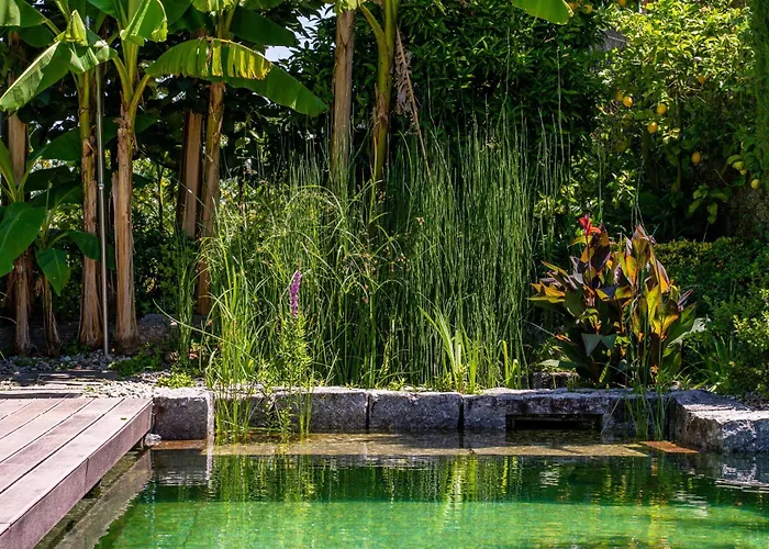 펜션 Gondomar - Moradia V3 Com Piscina Natural By House And People